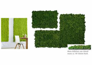 vitAcoustic Acoustic pictures with real moss acoustic cassette with bamboo wood frame and exchangeable highly sound absorbing PET acoustic panels with moss